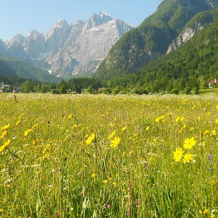 Affittacamere Krajnc Malborghetto Valbruna Dış mekan fotoğraf