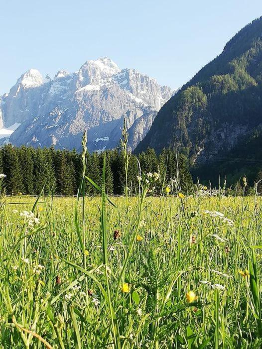 Affittacamere Krajnc Malborghetto Valbruna Dış mekan fotoğraf