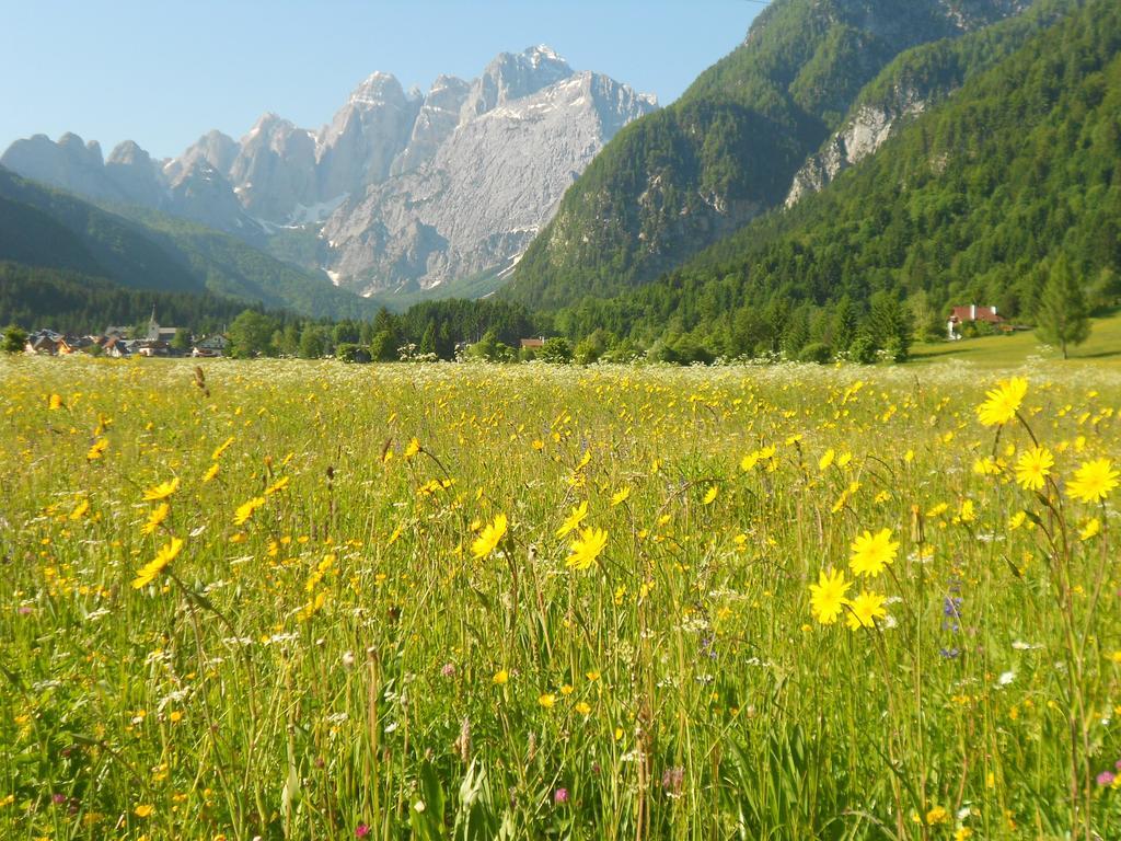 Affittacamere Krajnc Malborghetto Valbruna Dış mekan fotoğraf