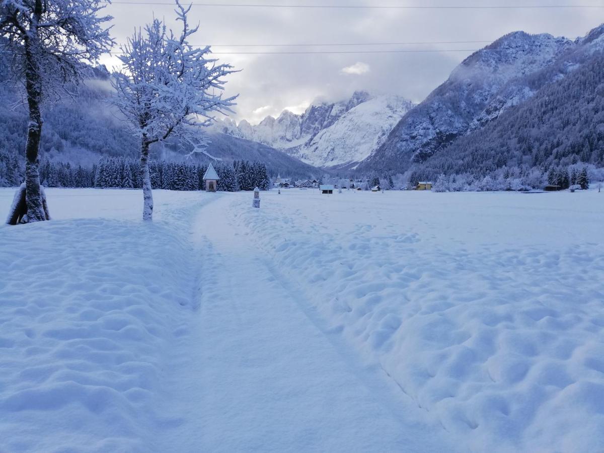 Affittacamere Krajnc Malborghetto Valbruna Dış mekan fotoğraf